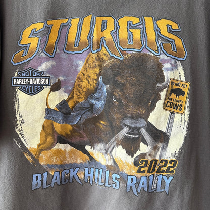 Harley Davidson Strugis North Dakota GraphicT-Shirt, XL