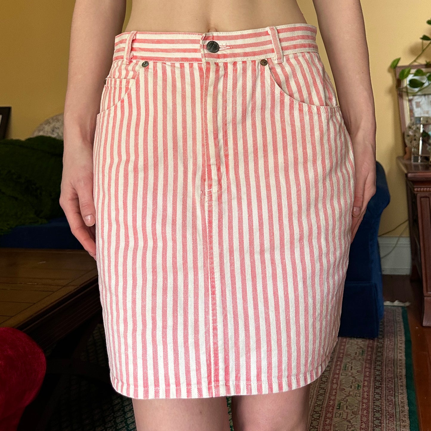 Palmettos Pink and White Stripe Denim Skirt, M